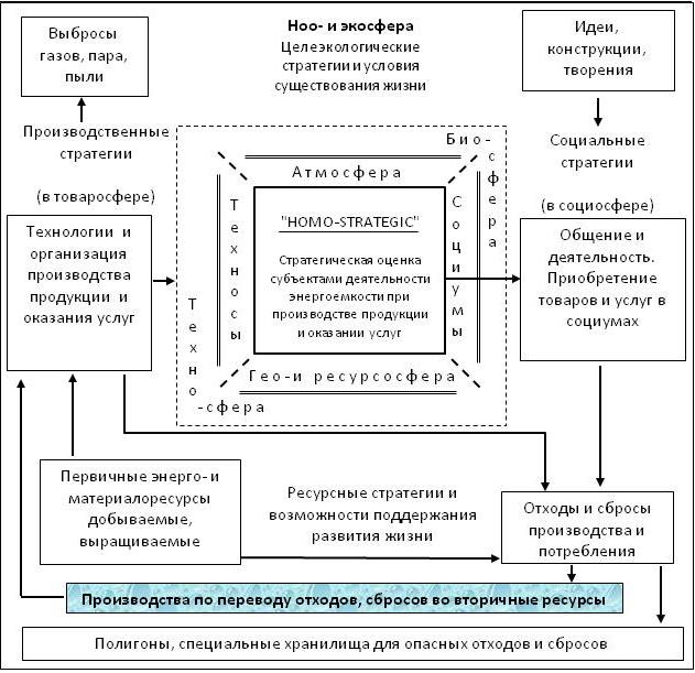 Стратегическая структуризация сфер жизнедеятельности общества во взаимодействии техносферы с биосферой (Модель «HOMO-STRATEGIC» на основе ИСО 13600)